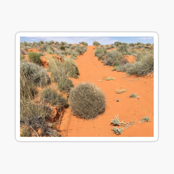 Tumbleweed across red sandy track in summer, offroad 4x4, Simpson Desert, South Australia Sticker