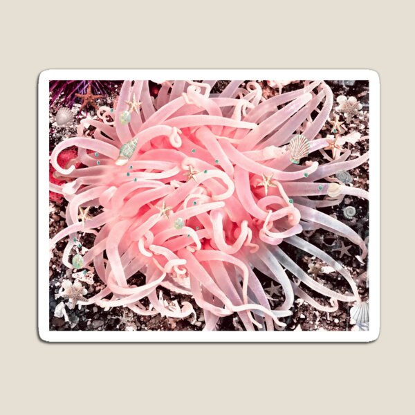 Item preview, Anemone Flowers of the Sea designed and sold by purplesensation.