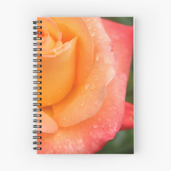 Item preview, Golden orange rose with dew drops - Romantic botanical flower photography designed and sold by Cha-s-lens.