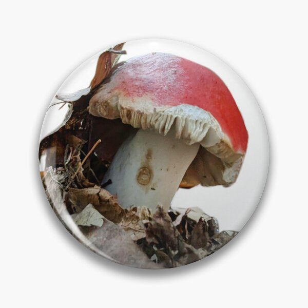 Item preview, Photograph of Red Mushroom designed and sold by Kara Draws.