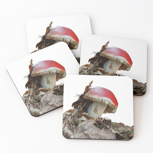 Item preview, Photograph of Red Mushroom designed and sold by Kara Draws.