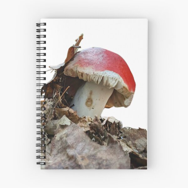 Item preview, Photograph of Red Mushroom designed and sold by Kara Draws.