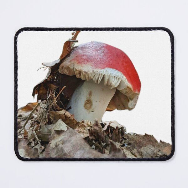 Item preview, Photograph of Red Mushroom designed and sold by Kara Draws.