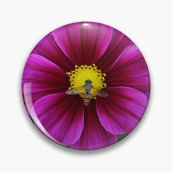 Item preview, Bee pollinating a pink cosmos flower - Magenta wilflower nature photography designed and sold by Cha-s-lens.