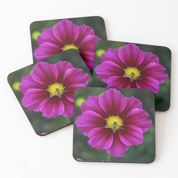 Item preview, Bee pollinating a pink cosmos flower - Magenta wilflower nature photography designed and sold by Cha-s-lens.