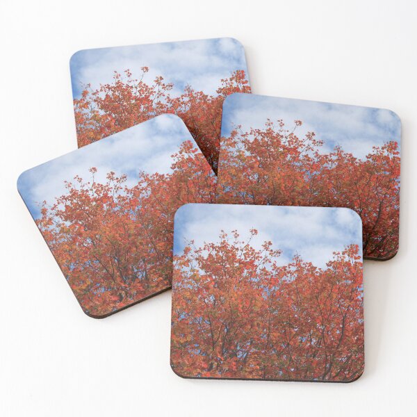 Item preview, Fall red maple trees against blue sky. designed and sold by naturematters.