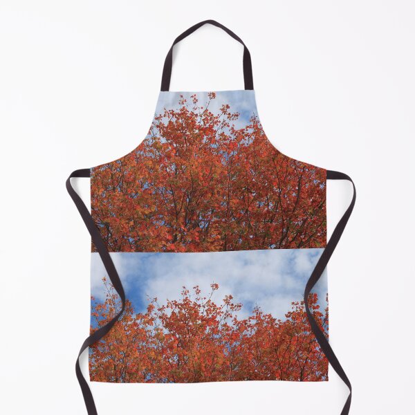 Item preview, Fall red maple trees against blue sky. designed and sold by naturematters.