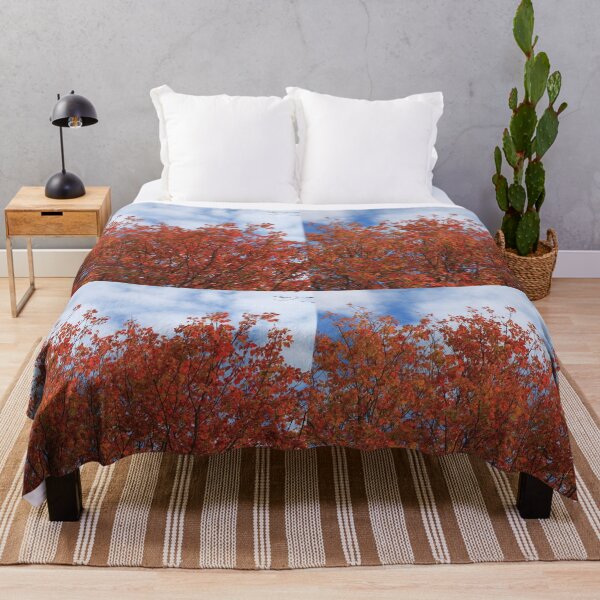 Item preview, Fall red maple trees against blue sky. designed and sold by naturematters.