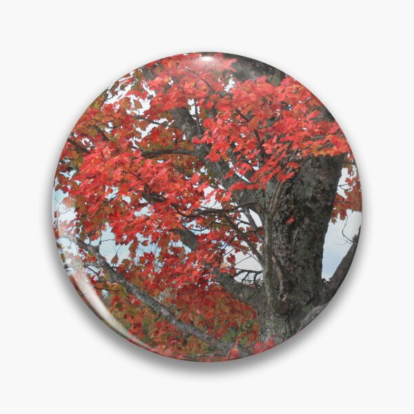 Item preview,  Fall red maple trees in the field designed and sold by naturematters.