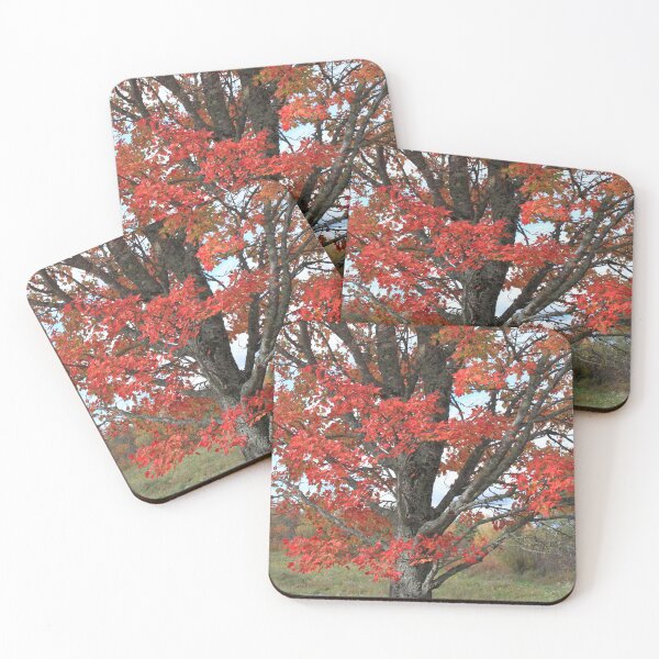 Item preview,  Fall red maple trees in the field designed and sold by naturematters.