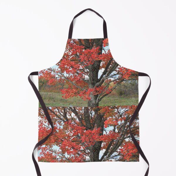 Item preview, Fall red maple trees in the field designed and sold by naturematters.