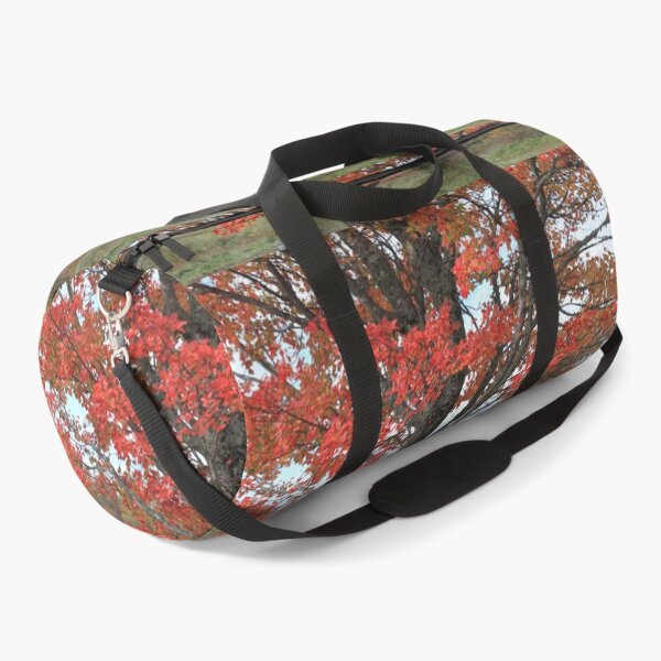 Item preview, Fall red maple trees in the field designed and sold by naturematters.