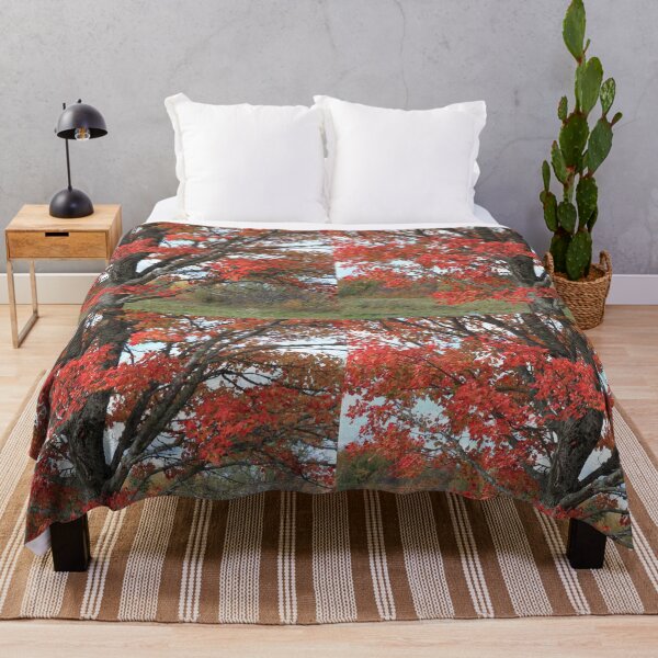 Item preview, Fall red maple trees in the field designed and sold by naturematters.