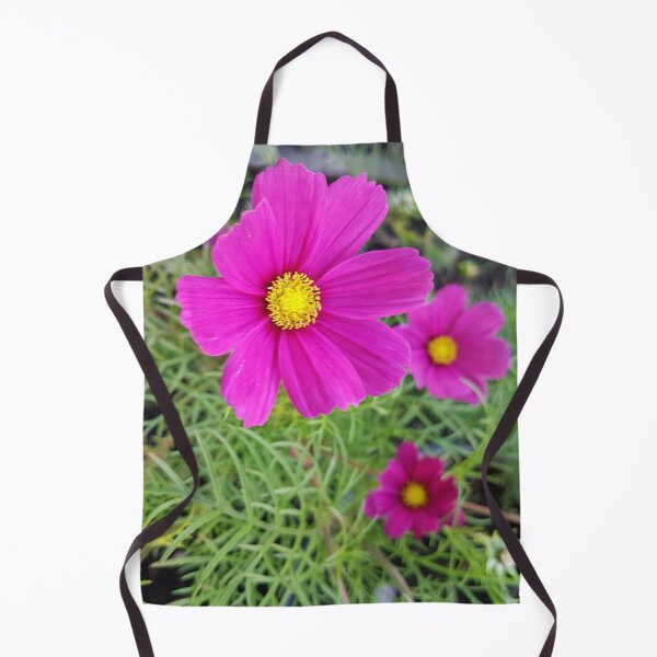 Aperçu de l'œuvre Cosmos bipinnatus, communément appelé le cosmos du jardin créée et vendue par LinkFamilyStore.