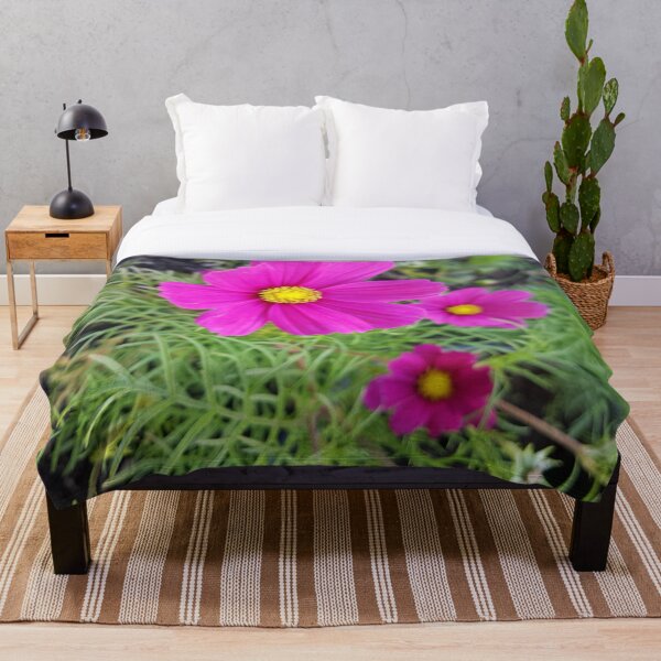 Item preview, Cosmos bipinnatus, commonly called the garden cosmos designed and sold by LinkFamilyStore.