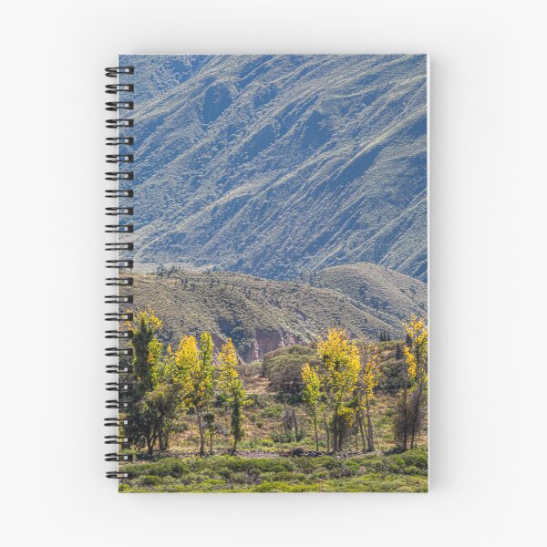 Item preview, Golden Autumn in the Quebrada de Escoipe designed and sold by Keltoi-art.
