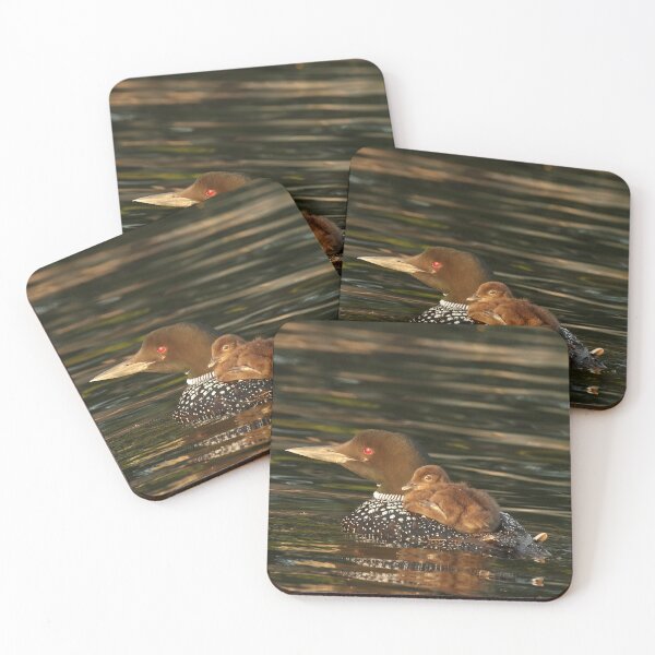 Item preview, Common Loon and Chick Wildlife Photography designed and sold by locustgirl.