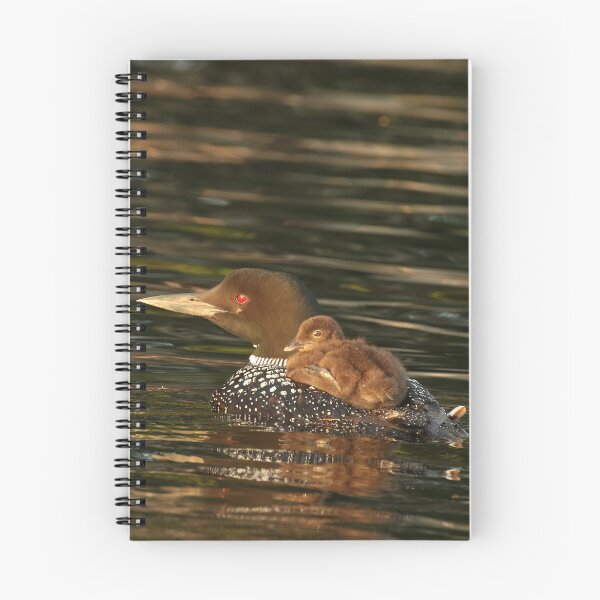 Item preview, Common Loon and Chick Wildlife Photography designed and sold by locustgirl.