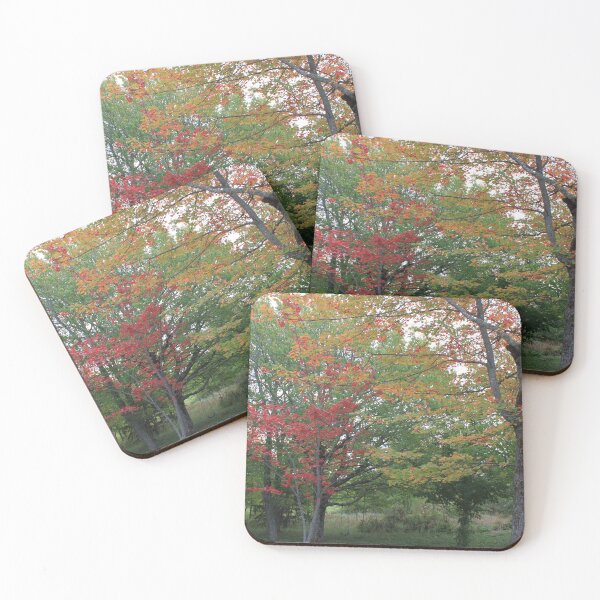Item preview, Colorful maple trees in the fall, green, yellow, red leaves designed and sold by naturematters.