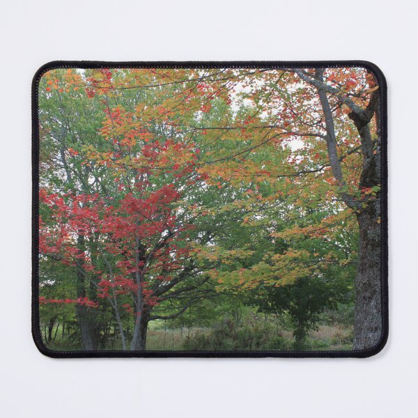 Item preview, Colorful maple trees in the fall, green, yellow, red leaves designed and sold by naturematters.