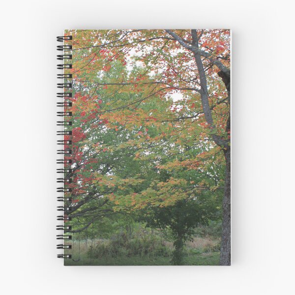 Item preview, Colorful maple trees in the fall, green, yellow, red leaves designed and sold by naturematters.