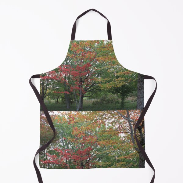 Item preview, Colorful maple trees in the fall, green, yellow, red leaves designed and sold by naturematters.