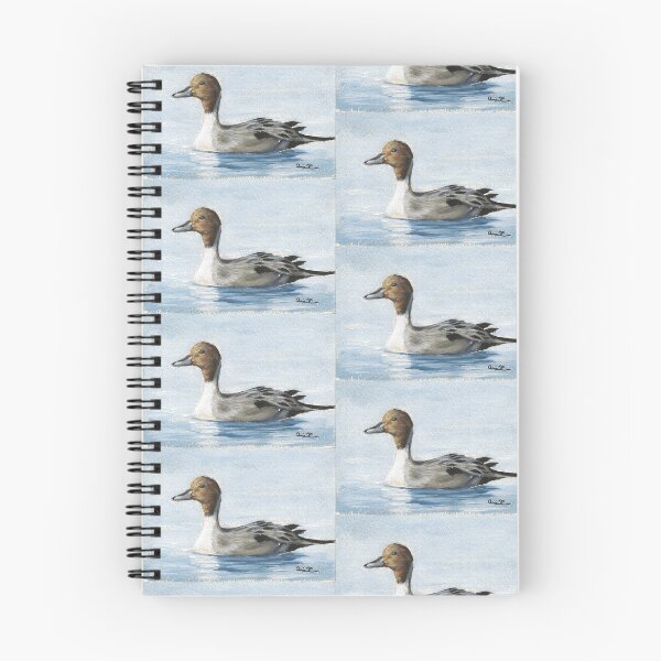 Item preview, Pintail Duck designed and sold by AcaciaCollArt.