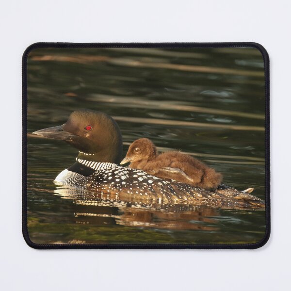 Item preview, Baby Loon Riding on Back designed and sold by locustgirl.