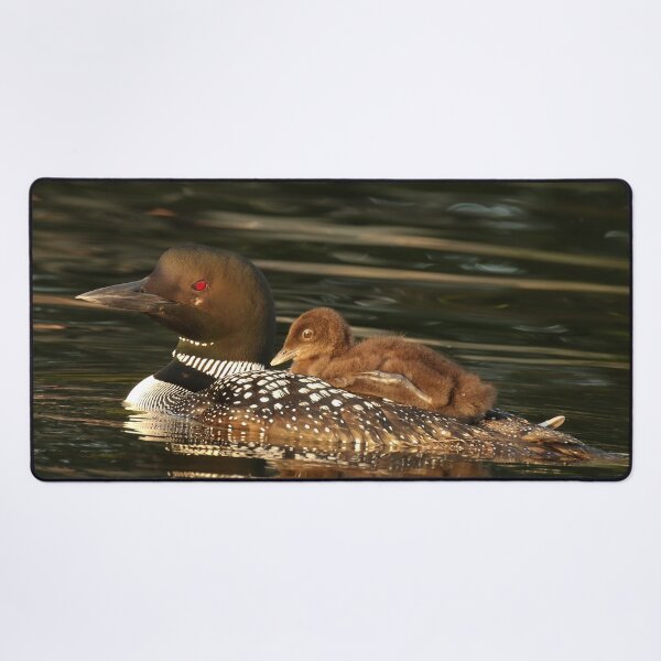 Item preview, Baby Loon Riding on Back designed and sold by locustgirl.