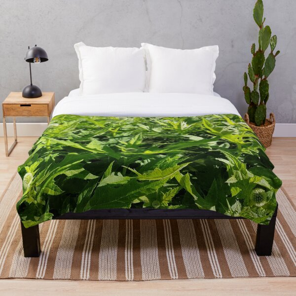Item preview, Hermoso cardo verde grande designed and sold by LinkFamilyStore.