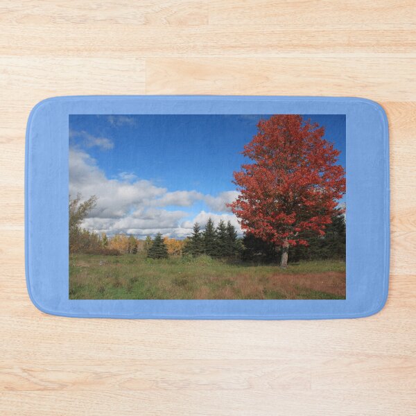 Item preview, Stunning fall red maple trees in the field, under the blue sky  designed and sold by naturematters.
