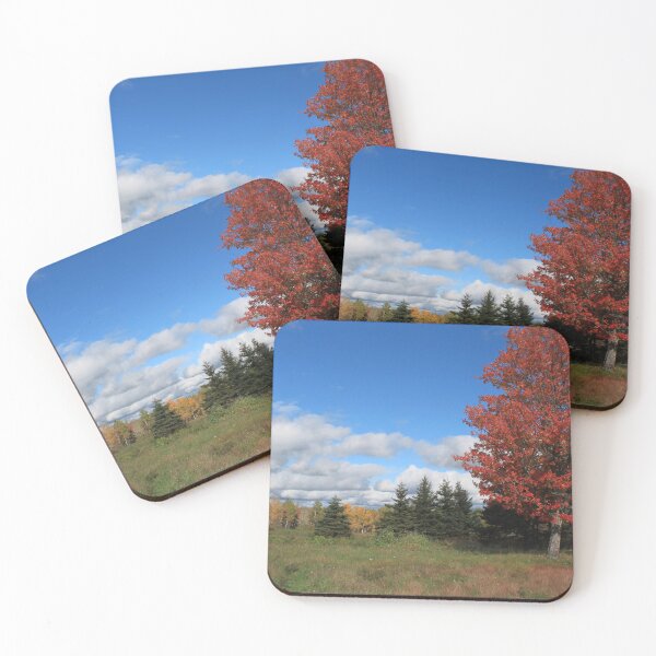 Item preview, Stunning fall red maple trees in the field, under the blue sky  designed and sold by naturematters.