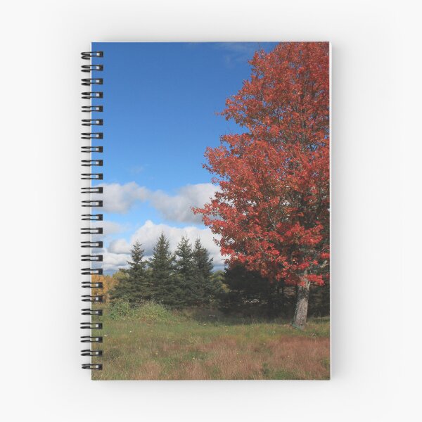 Item preview, Stunning fall red maple trees in the field, under the blue sky  designed and sold by naturematters.