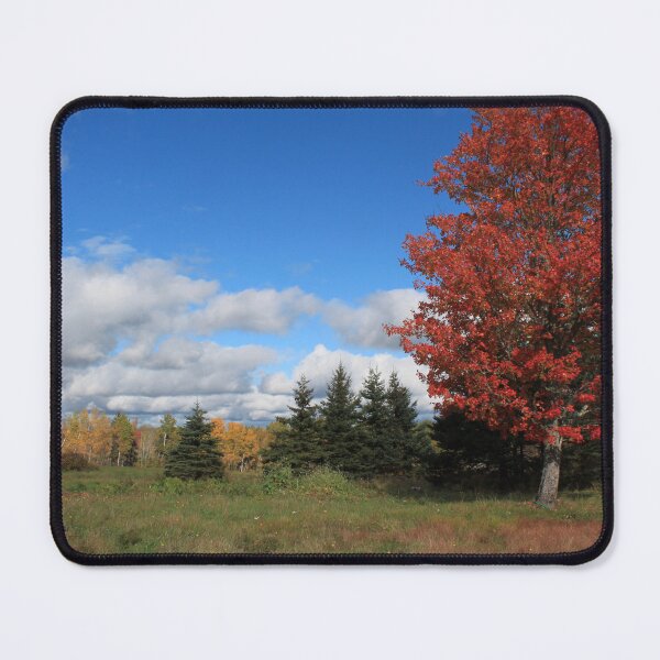 Item preview, Stunning fall red maple trees in the field, under the blue sky  designed and sold by naturematters.