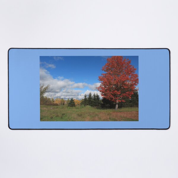 Item preview, Stunning fall red maple trees in the field, under the blue sky designed and sold by naturematters.
