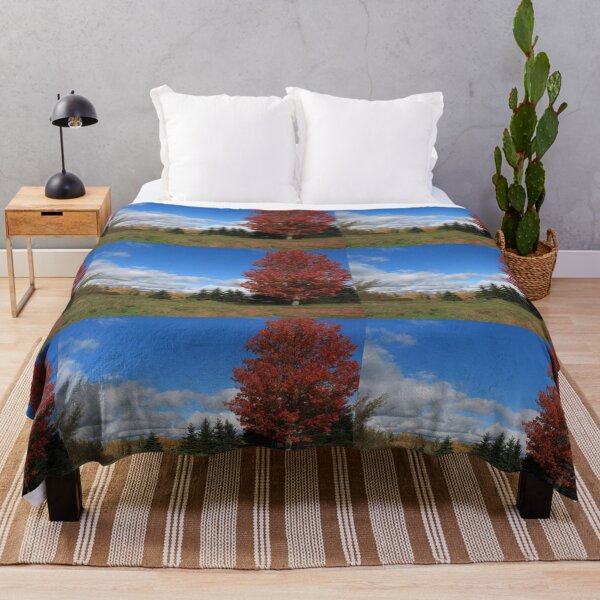 Item preview, Stunning fall red maple trees in the field, under the blue sky designed and sold by naturematters.