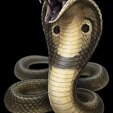 Artwork thumbnail, Beautiful cobra by ReneMM