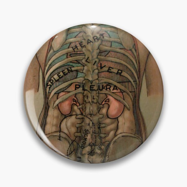 Item preview, Historical Medical Diagram Posterior Torso Skeleton and Organs Art designed and sold by SiliconValleyUS.