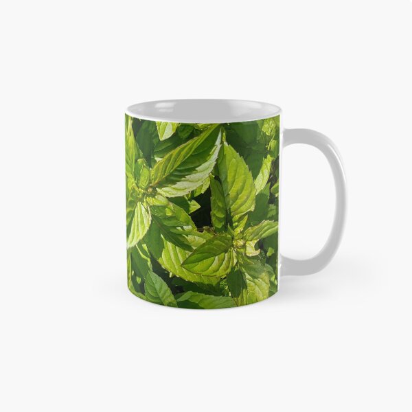 Item preview, Mentha x Citrata Orange designed and sold by LinkFamilyStore.