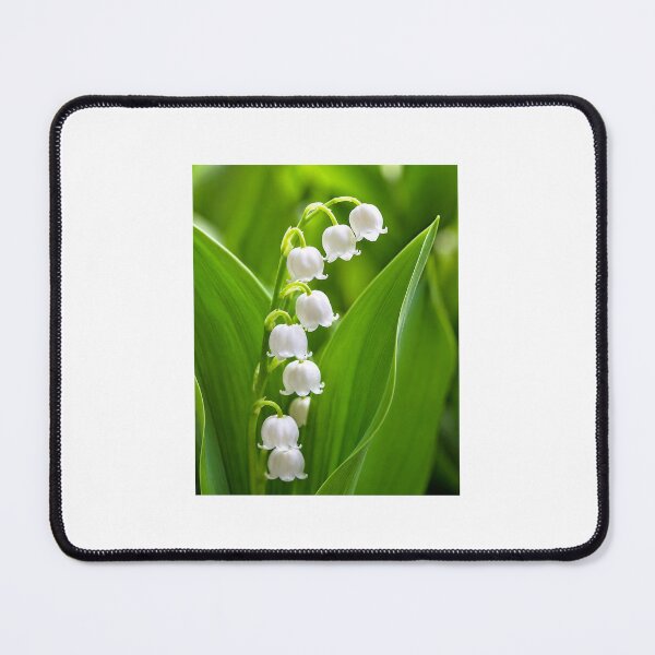 Item preview, A I LILY OF THE VALLEY FLOWERS designed and sold by DeniseFFulmer12.