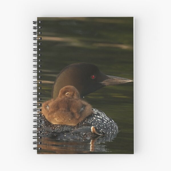 Item preview, Common Loon and Baby Chick Lake Photography designed and sold by locustgirl.