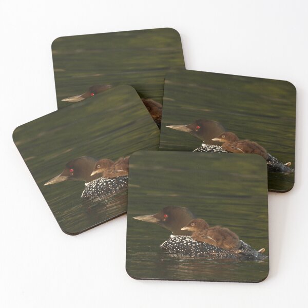 Item preview, Common Loon With Chick North American Wildlife designed and sold by locustgirl.