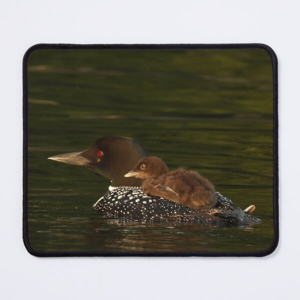 Item preview, Common Loon With Chick North American Wildlife designed and sold by locustgirl.