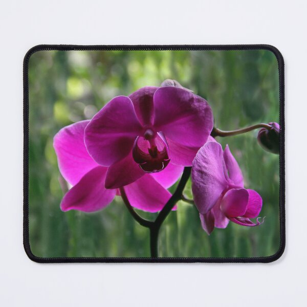 Item preview, Japanese Orchid designed and sold by heatherfriedman.