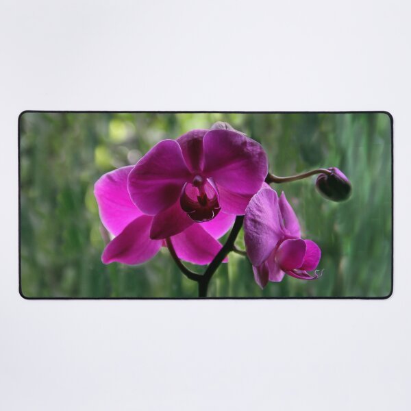 Item preview, Japanese Orchid designed and sold by heatherfriedman.