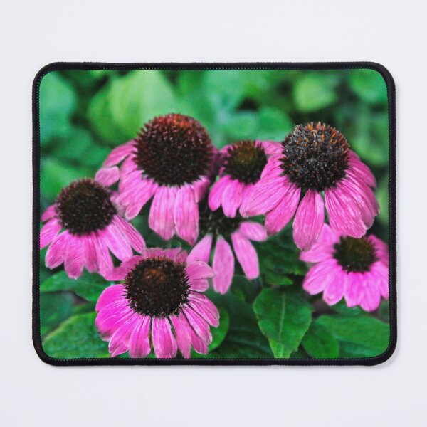 Item preview, Summer Blooms designed and sold by heatherfriedman.
