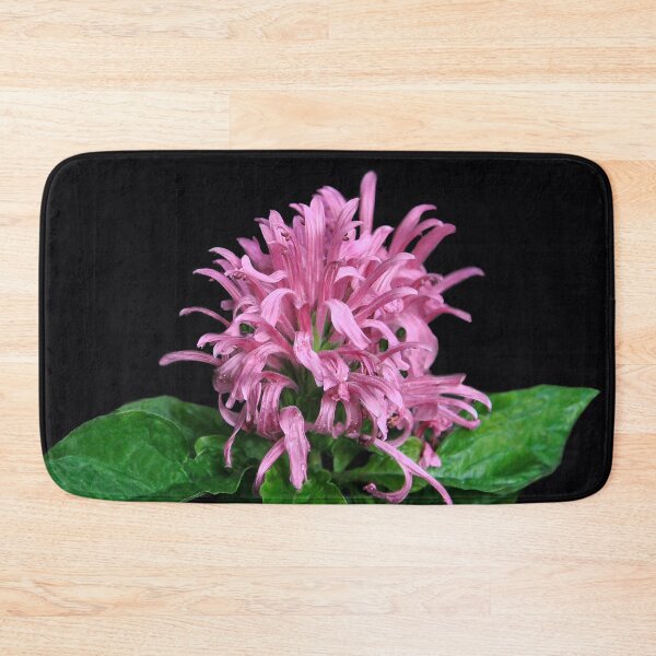 Item preview, Nature's Magnificent Creation designed and sold by heatherfriedman.