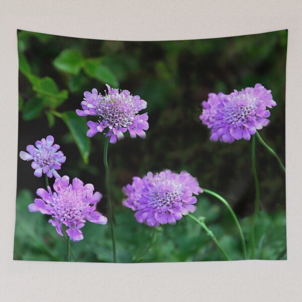 Item preview, Purple Beauties designed and sold by heatherfriedman.