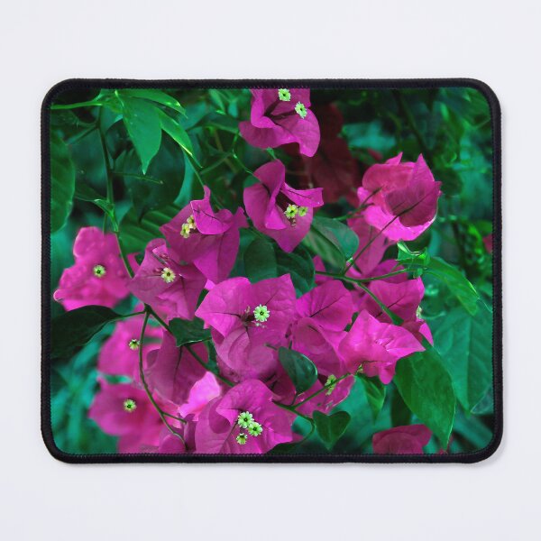 Item preview, Beautiful Bougainvillea designed and sold by heatherfriedman.