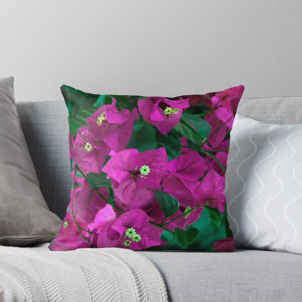 Aperçu de l'œuvre Magnifique bougainvillier créée et vendue par heatherfriedman.